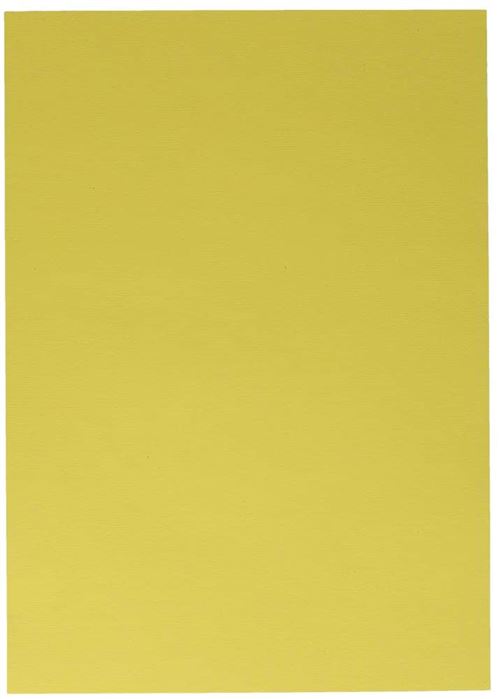 50 feuilles papier cartonné format A4 ultra résistant grammage 220 g/m² colorie:Jaune