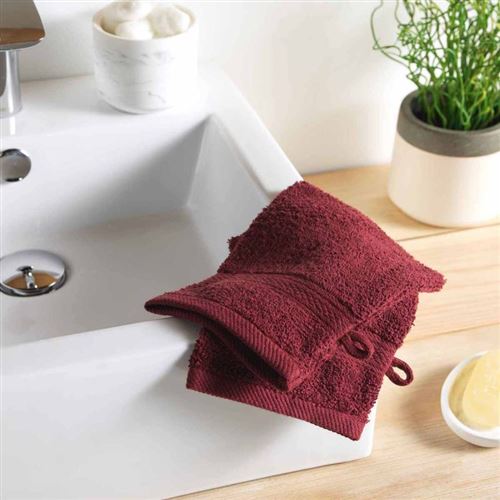 Paris Prix - Lot De 2 Gants De Toilette colors 15x21cm Bordeaux