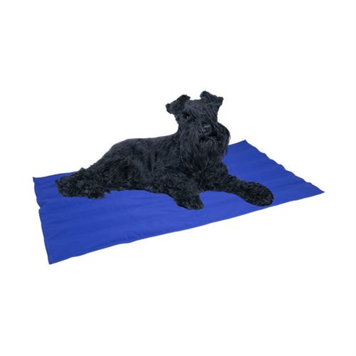 Meilleurs prix pour Tapis pour chien Nayeco Cool mat Gel réfrigérant 50 40 cm Bleu