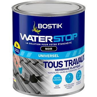 Peinture d'étanchéité - Noir - Toiture, gouttières et murs - Résiste ...