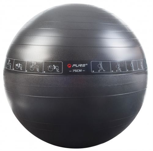 Pure2Improve Gymnastiek bal zwart P2I200080