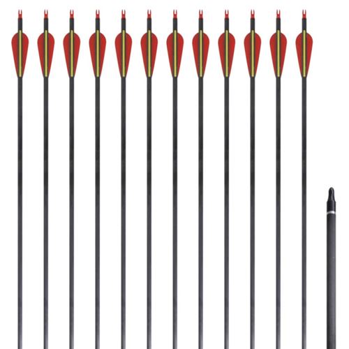 vidaXL 12 flèches standard en carbone 30 0,76 cm pour arc classique