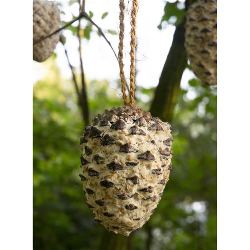 dobar Graines pour oiseaux suspendues cônes de pin 8 pcs