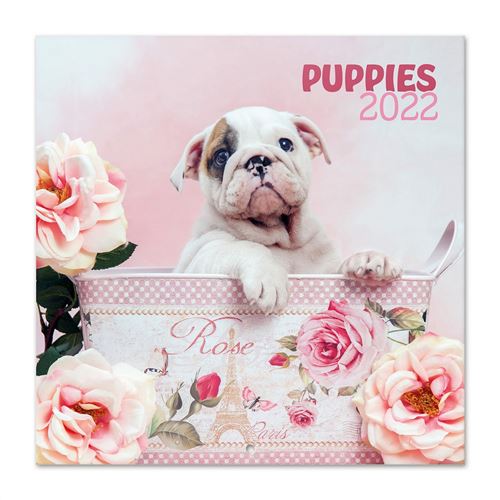 Calendrier 2022 30X30 Chantrenne Chien