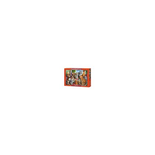 Castorland House of Cats Jigsaw puzzle 2000 pc(s) Animals