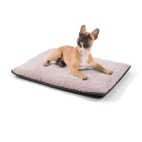 Lit pour chien - Brunolie Finn - Inodore, hygiénique et antidérapante - Taille S (68 x 54 x 5 cm) - Beige