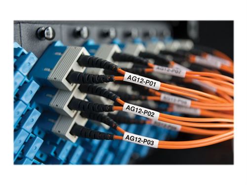 DYMO XTL - étiquettes - 75 étiquette(s)