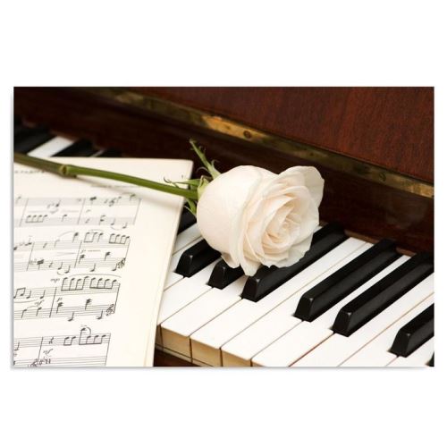 Tableau Image sur toile Cadre décoratif Canevas Piano Fleur Rose  Composition 40x30 - Achat &amp;amp; prix | fnac