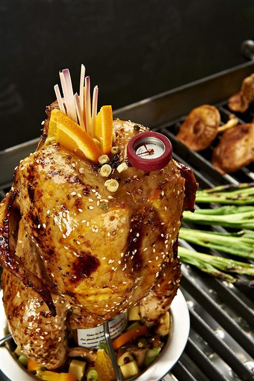 Broil King Barbecue/Barbecue/Grill, armature de poulet cuisson, acier inoxydable, 5 x 5 x 5 cm, 69132