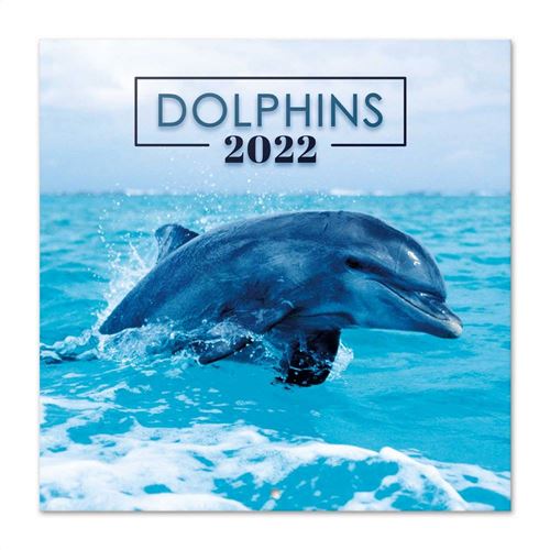 Calendrier 2022 30X30 Dauphins
