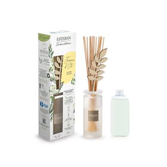 Bouquet rechargeable Esteban Jasmin d'été en verre 100 ml