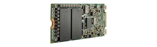 HPE - SSD - Read Intensive - 960 Go - interne - M.2 22110 - PCIe 3.0 (NVMe) - Multi Vendor