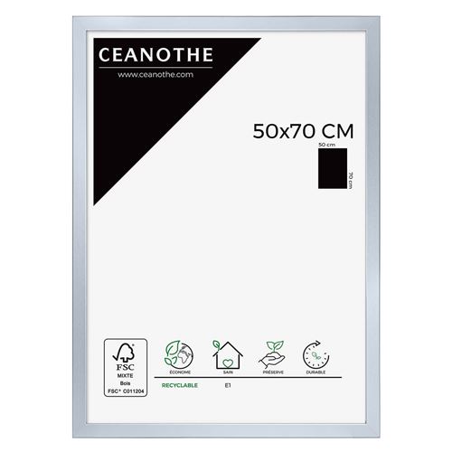 Cadre photo Mat alu 50x70 cm Emotion 27321