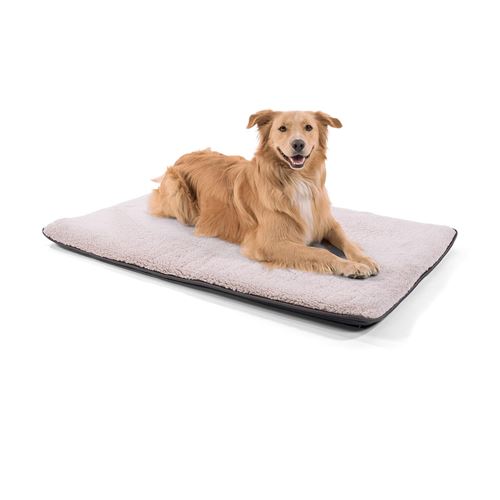 Lit pour Chien - Brunolie Finn - Inodore, hygiénique et antidérapante - Taille L (120 x 80 x 5 Cm) - Beige