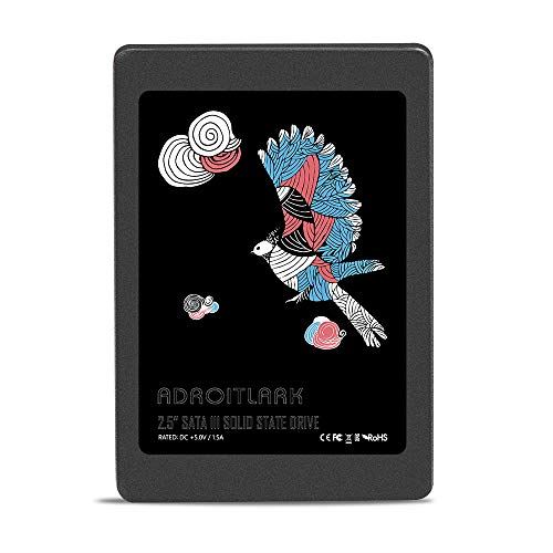 ADROITLARK SSD Interne de 960 Go, Disque SSD SATA III de 2,5 Pouces pour Ordinateurs Portables/PC (Lecteur SSD de 960Go)
