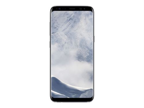 Samsung Galaxy S8+ - SM-G955F - argent arctique - 4G HSPA+ - 64 Go - TD-SCDMA / UMTS / GSM - smartphone