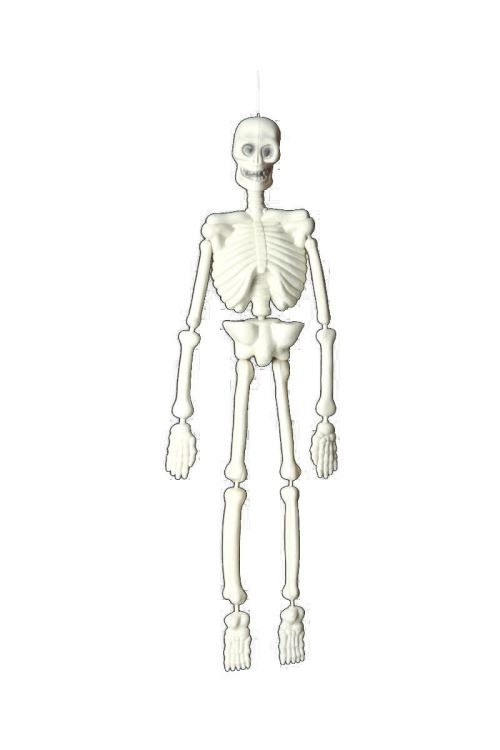 Squelette phosphorescent 92cm