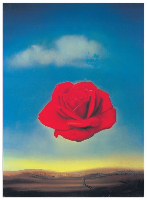DALÌ - Rosa pensierosa, 1958 (Panneaux MDF 50x70 cm)