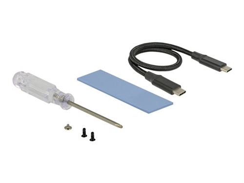 Delock - Storage enclosure - M.2 Card - USB 3.1 (Gen 2) - zwart