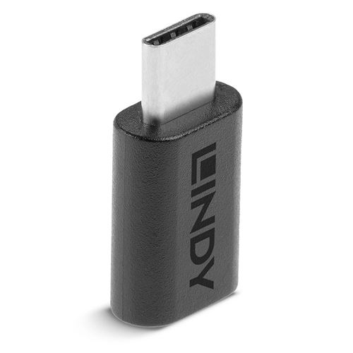 Lindy - Adaptateur USB - 24 pin USB-C (F) pour 24 pin USB-C (M) - USB 3.2 Gen 2 - noir
