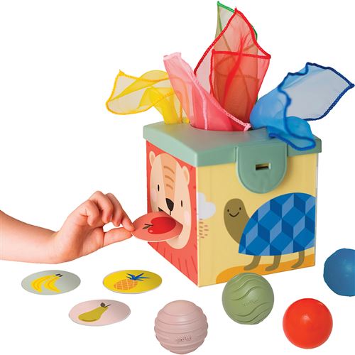 Boite magique d'apprentissage Taf Toys