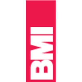 BMI Livella a bolla Alustar in alluminio con magnete (60 cm di lunghezza, livello orizzontale senza bordi con effetto di ingrandimento, alta precisione di misurazione 0,5 mm/m, con tappi in gomma