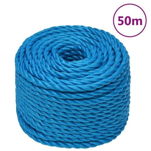 VIDAXL - Corde de travail - 10 mm - 50 m - Bleu - Image 3