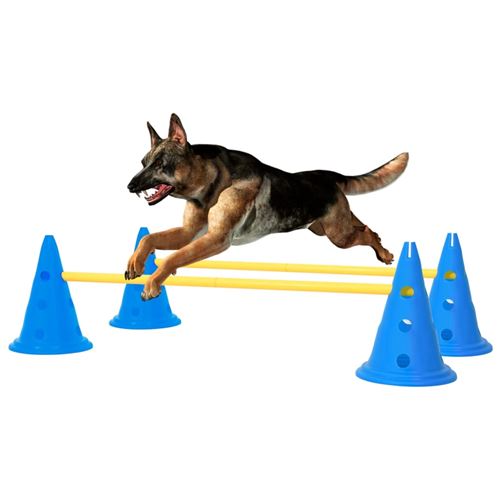 Comparer les prix de vidaXL Ensemble d'obstacles d'activité pour chien Bleu et jaune