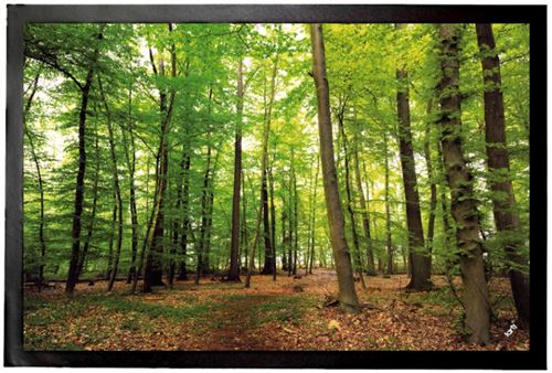 Forêts Paillasson Essuie-Pieds - Forêt Du Silence (40x60 cm)