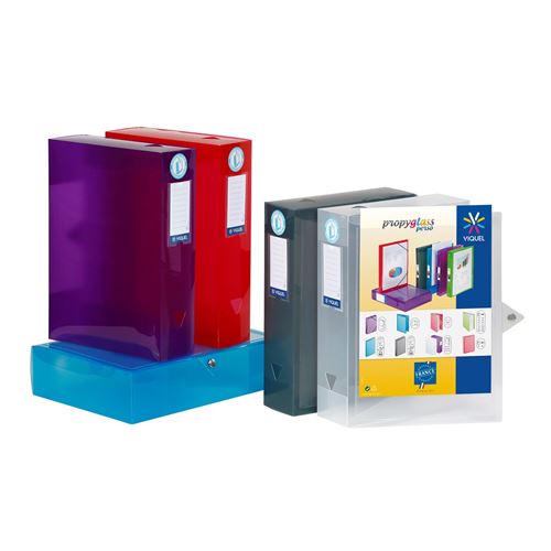 Viquel Lot de 6 boites de classement et archivage en plastique grande capacité Multicolore