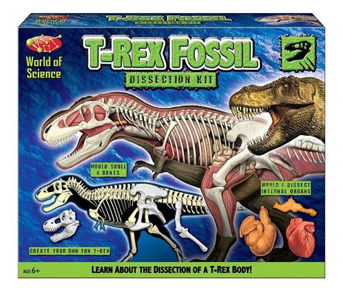 World of Dinosaurs kit de fouille T-Rex garçons vert 2-pièces