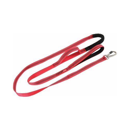 Comparer les prix de Zolux - Laisse chien spéciale randonnée Moov