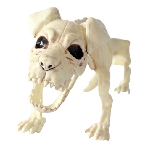 Halloween Hyène Props Animal Bones Party Shop Décoration Horreur BT327
