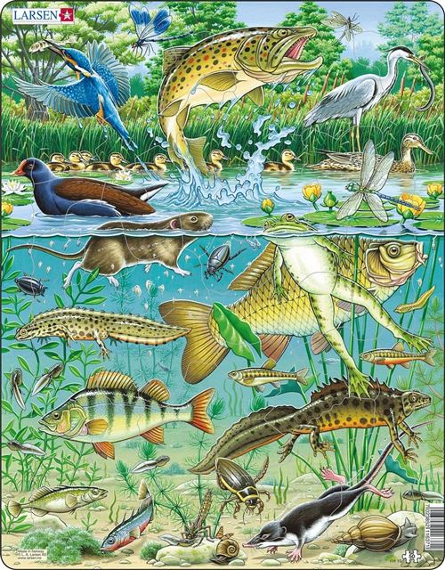 Larsen puzzle puzzle Maxi Vijver50 pièces