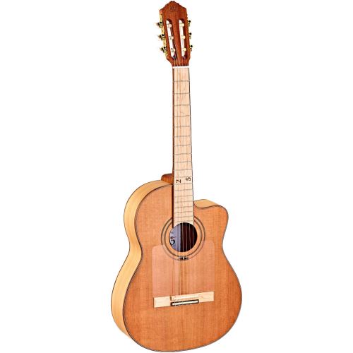 Ortega RCE179SN-25TH guitare électro-acoustique 25ème anniversaire + housse