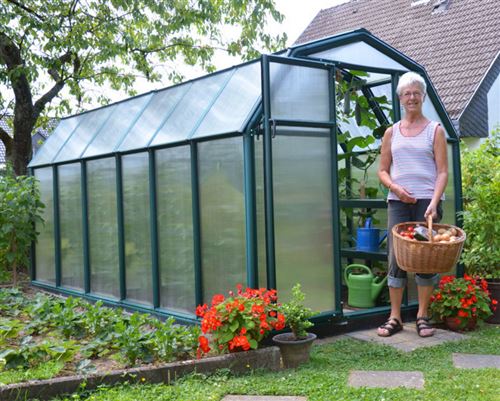 Palram - Serre de jardin 7.6m² verte 702471