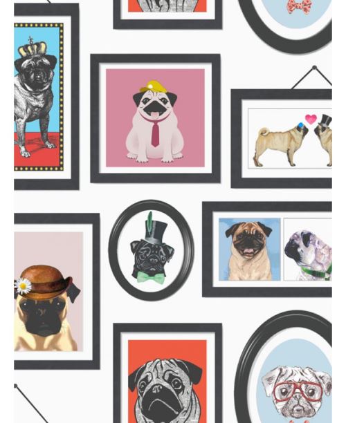 La vie d'un Pug Carlin images papier peint Holden