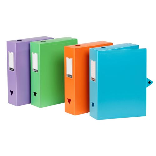 Lot de 6 boites de classement en plastique fermeture bouton pression Viquel Multicolore