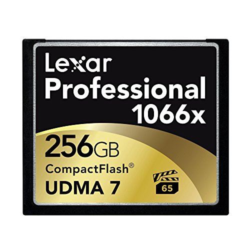 Lexar Professional UDMA - Carte mémoire flash - 256 Go - 1066x - CompactFlash