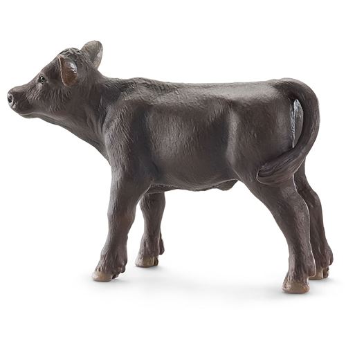 Veau Angus - vue 6