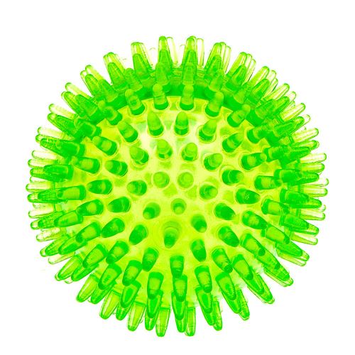 PA 6414 balle chiens résine thermoplastique Ferplast santé des dents et des gencives