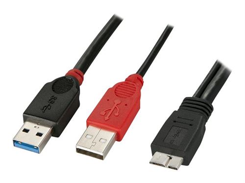 Lindy Dual Power - câble USB - 50 cm