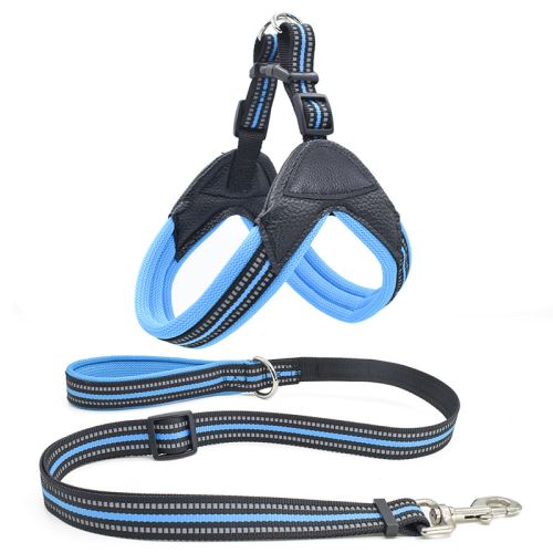 Comparer les prix de Harnais et Laisses KELLY kit pour chien - Bleu (Taille: S)