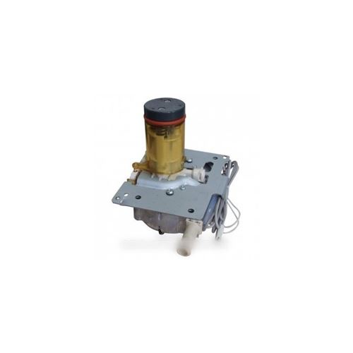 Chaudiere Complete 230 V pour Cafetiere Delonghi