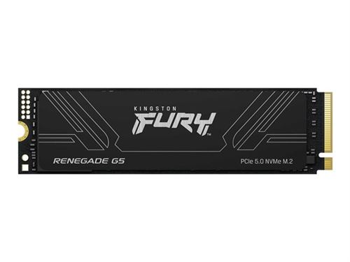 Kingston Fury Renegade G5
