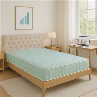 Matelas 120x190 cm 18 cm Ressorts Ensaches 5 cm Memoire de Forme 60 Kg/m3 - Accueil Moelleux - Soutien Ferme - 5 Zones de Confort - Matelas Luxe + Oreiller Memoire de Forme Offert - 1