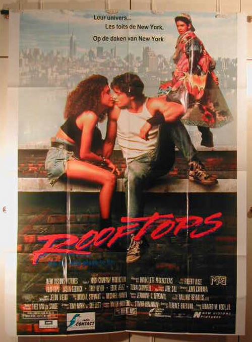 Roof Tops - affiche pliée - 116x158 cm - AFFICHE / POSTER