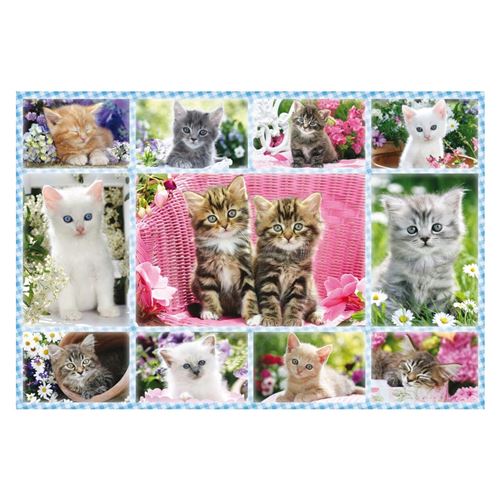Puzzle 100 Pièces : Chatons, Schmidt Spiele
