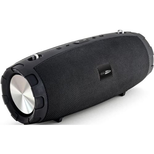 Enceinte Sans Fil Caliber Caliber Hpg430Bt Haut-Parleur Portable Bluetooth Avec Aux-In, Micro-Sd