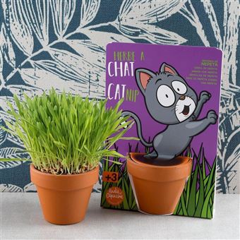 Kit Culture Trèfle à 4 Feuilles Radis Et Capucine - Pot En Terre, Bulbes, Guide - Cadeau Porte-bonheur
